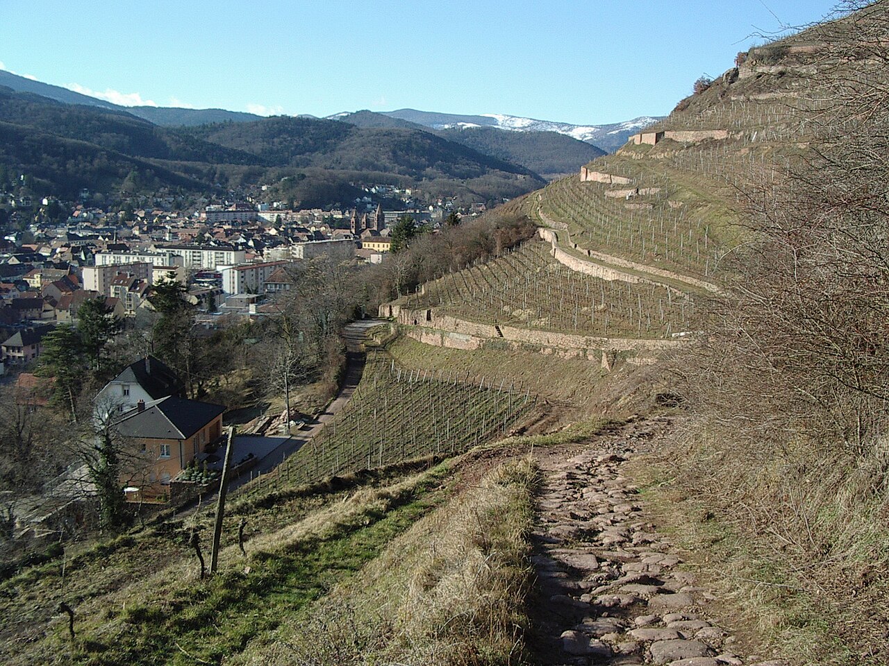 Immobilier en Alsace : l'essentiel de février 2025